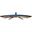 23,6" (59,94cm) Samsung Curved C24F396FHU schwarz 1920x1080