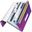 Leitz Projektmappe WOW, A4, PP, 6 F&auml;cher, violett