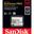 256 GB SanDisk Pro Compact Flash TypI Retail