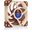 Noctua NF-A12x25 120x120x25mm 1900 U/min 21.4 dB(A) braun/beige