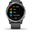 Garmin vivoactive 4 GPS-Fitness-Smartwatch, dunkelgrau/silber