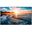 64,5" (163,90cm) Samsung QH65R schwarz 3840x2160 1x DisplayPort