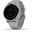 Garmin vivoactive 4S Grau/Silber