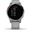 Garmin vivoactive 4S Grau/Silber