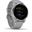 Garmin vivoactive 4S Grau/Silber