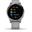 Garmin vivoactive 4S Grau/Silber