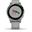 Garmin vivoactive 4S Grau/Silber