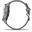 Garmin vivoactive 4S Grau/Silber