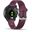 Garmin Forerunner 245 merlot (010-02120-11)