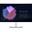 27" (68,58cm) Dell UltraSharp U2722DE schwarz 2560x1440