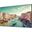 65" (165,10cm) Samsung QM65R schwarz 3840x2160 1x DisplayPort
