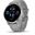 Garmin VENU 2 PLUS Grau