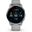 Garmin VENU 2 PLUS Grau