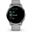 Garmin VENU 2 PLUS Grau