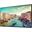 49.5" (125,7cm) Samsung QM50R-B schwarz 3840x2160 1x DisplayPort