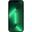 Apple iPhone 13 Pro Max 1TB alpingrün (MND23ZD/A)
