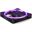 NZXT F Series F140 RGB 140x140x26mm 500-1800 U/min 20-32.5 dB(A)