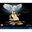 LEGO Harry Potter 76391 Hogwarts Ikonen Sammler-Edition