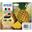 EPSON XP2200 TINTE (4) CMYK 604XL 1x500Seiten blk + 3x350Seiten cmy