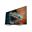 54.6" (138,68cm) Gigabyte S55U schwarz 3840x2160 2xHDMI 2.0 / 2x