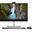 23.8" (60,45cm) Dell Optiplex 24 AIO PLUS 240W TPM I 16GB 256GB