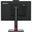 23,8" (60,47cm) Lenovo ThinkCentre Tiny-in-One 24 Gen 5 schwarz
