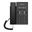 Fanvil Telefon H1