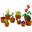 LEGO Botanicals 10329 Collection Mini Pflanzen und Blumen Set