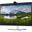 23,8" (60,47cm) Dell P2424HEB schwarz 1920x1080 1xDisplayPort /