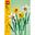 LEGO Botanicals 40747 Narzissen Set mit künstlichen Blumen,
