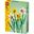 LEGO Botanicals 40747 Narzissen Set mit künstlichen Blumen,
