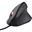 Trust Gaming GXT 144 Rexx Vertical USB schwarz (kabelgebunden)