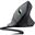 Trust Gaming GXT 144 Rexx Vertical USB schwarz (kabelgebunden)