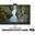 Dell OptiPlex 7420 All In One - All-in-One (Komplettlösung) -