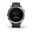 Garmin epix (Gen2) slate grey/silver 010-02582-01