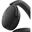 Dell PREMIER WIRELESS ANC HEADSET - WL7024