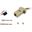 Equip Adapter DB9 -> RJ45 Adapter Bu/Bu TIA/EIA-561