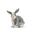 Schleich® Farm World 42420 Kaninchenstall Spielfiguren-Set