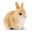 Schleich® Farm World 42420 Kaninchenstall Spielfiguren-Set