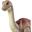 Mattel Jurassic World Wild Pack Dinosaurier Sortiment