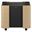 EPSON Mobile A/V Cabinet ELPCS01