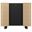 EPSON Mobile A/V Cabinet ELPCS01