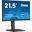 21,5" (54,61cm) iiyama ProLite XUB2293HSU-B7 schwarz 1920x1080
