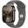Apple Watch S10 Titan Natur Cellular 46mm (Sportarmband steingrau) M/L