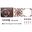 Noctua NF-A14x25 G2 LS-PWM 140x140x25mm 800 U/min 11.4 dB(A)