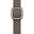 Apple 42mm Dark Taupe Modern Buckle - Medium