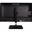 31.5" (80,01cm) Terra 3295W PV schwarz 3840x2160 1x DisplayPort