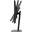 27" (68,58cm) Asus ProArt 90LM05L1-B01370 schwarz 2560x1440 1x