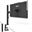 23,8" (60,47cm) Asus ZenScreen MB249C schwarz 1920x1080 1xHDMI