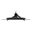 26,5" (67,31cm) Asus ROG Swift OLED PG27AQDM schwarz 2560x1440
